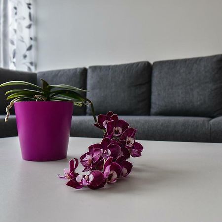 Mardi Downtown Apartment تالين المظهر الخارجي الصورة