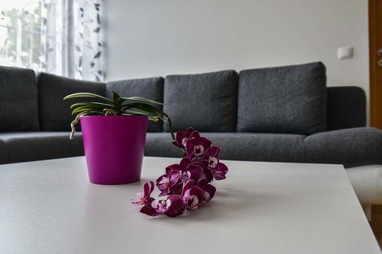 Mardi Downtown Apartment تالين المظهر الخارجي الصورة